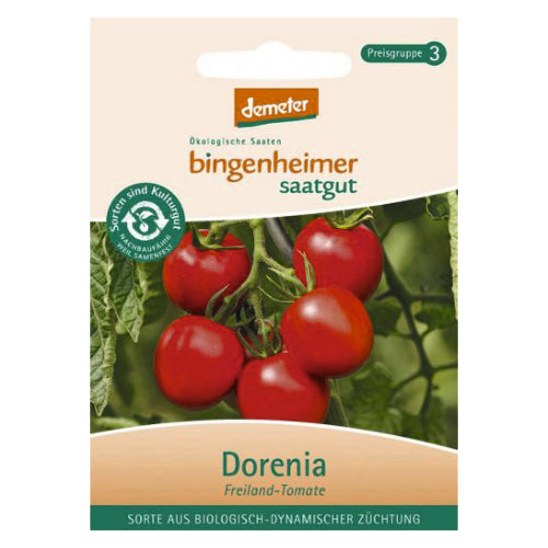 Freiland-Tomate „Dorenia“